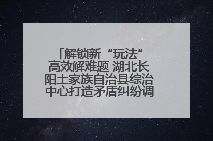 解锁新“玩法” 高效解难题 湖北长阳土家族自治县综治中心打造矛盾纠纷调处“终点站”