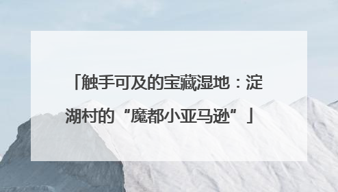 触手可及的宝藏湿地：淀湖村的“魔都小亚马逊”