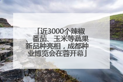 近3000个辣椒、番茄、玉米等蔬果新品种亮相，成都种业博览会在蓉开幕