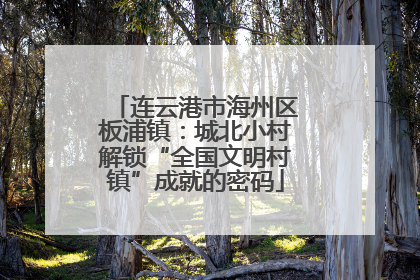 连云港市海州区板浦镇：城北小村解锁“全国文明村镇”成就的密码
