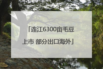 连江6300亩毛豆上市 部分出口海外