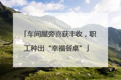 车间屋旁喜获丰收，职工种出“幸福餐桌”