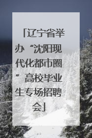 辽宁省举办“沈阳现代化都市圈”高校毕业生专场招聘会