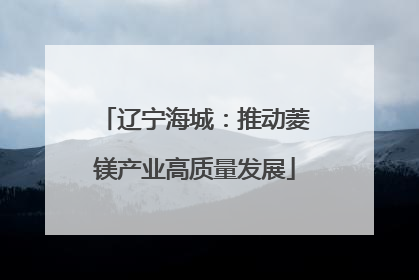辽宁海城：推动菱镁产业高质量发展