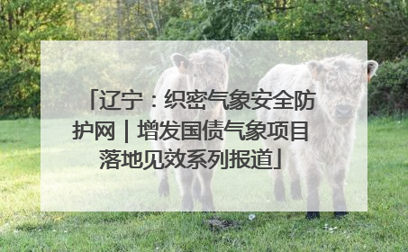 辽宁：织密气象安全防护网｜增发国债气象项目落地见效系列报道