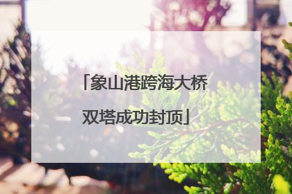 象山港跨海大桥双塔成功封顶
