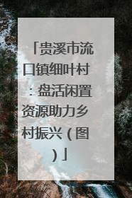 贵溪市流口镇细叶村：盘活闲置资源助力乡村振兴（图）
