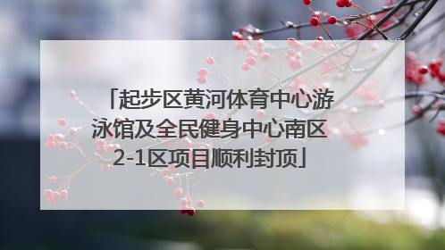 起步区黄河体育中心游泳馆及全民健身中心南区2-1区项目顺利封顶