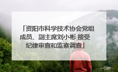 资阳市科学技术协会党组成员、副主席刘小彬 接受纪律审查和监察调查