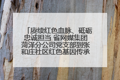 赓续红色血脉、砥砺忠诚担当 省网媒集团菏泽分公司党支部到张和庄社区红色基因传承馆开展主题党日活动