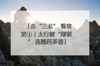 走“三北” 看攻坚①｜太行披“绿装” 连翘药茶香
