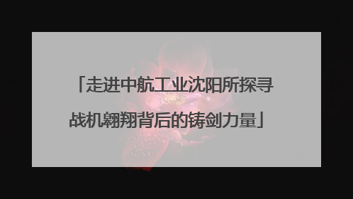 走进中航工业沈阳所探寻战机翱翔背后的铸剑力量