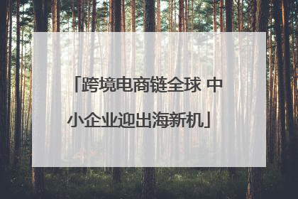 跨境电商链全球 中小企业迎出海新机