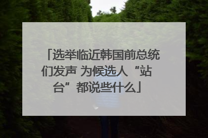 选举临近韩国前总统们发声 为候选人“站台”都说些什么