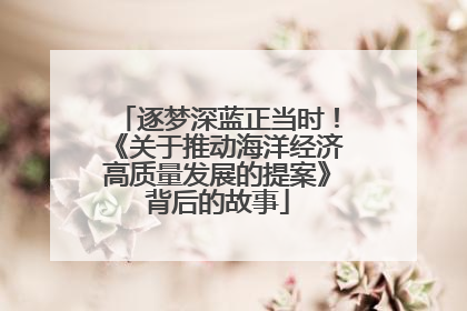 逐梦深蓝正当时！《关于推动海洋经济高质量发展的提案》背后的故事