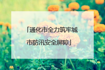 通化市全力筑牢城市防汛安全屏障