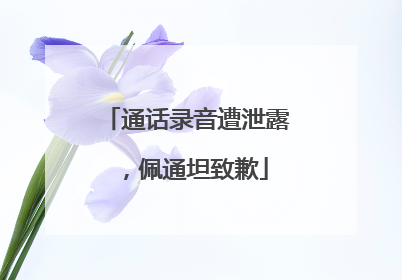 通话录音遭泄露，佩通坦致歉