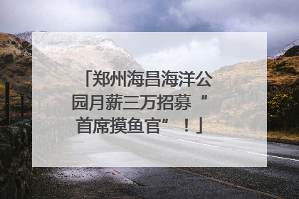 郑州海昌海洋公园月薪三万招募“首席摸鱼官”！