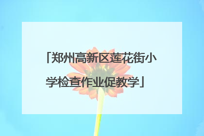 郑州高新区莲花街小学检查作业促教学