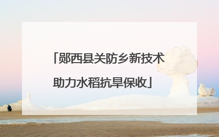 郧西县关防乡新技术助力水稻抗旱保收