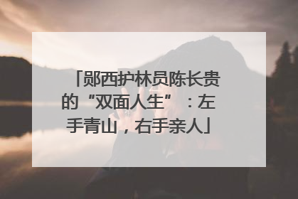 郧西护林员陈长贵的“双面人生”：左手青山，右手亲人