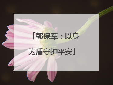 郭保军：以身为盾守护平安