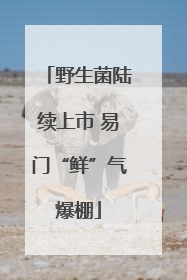 野生菌陆续上市 易门“鲜”气爆棚