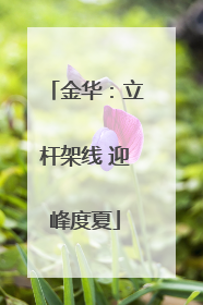 金华：立杆架线 迎峰度夏