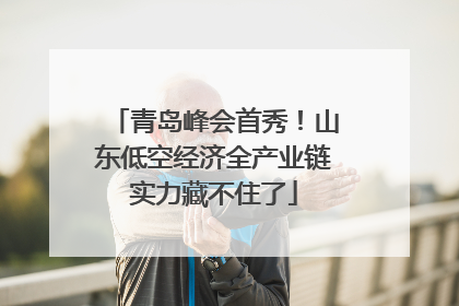 青岛峰会首秀！山东低空经济全产业链实力藏不住了