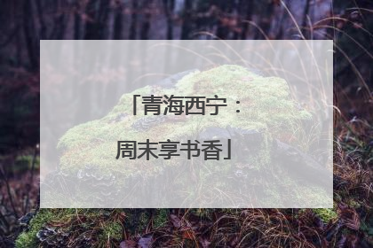 青海西宁：周末享书香