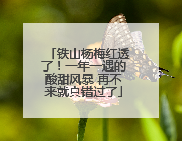 铁山杨梅红透了！一年一遇的酸甜风暴 再不来就真错过了