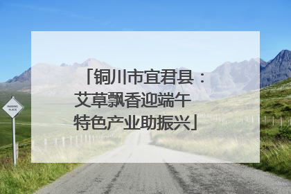 铜川市宜君县：艾草飘香迎端午 特色产业助振兴