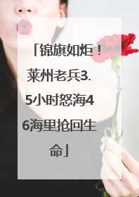 锦旗如炬！莱州老兵3.5小时怒海46海里抢回生命