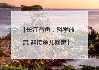 长江有鱼：科学放流 迎接鱼儿回家