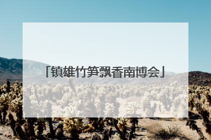 镇雄竹笋飘香南博会