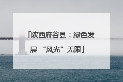 陕西府谷县：绿色发展 “风光”无限
