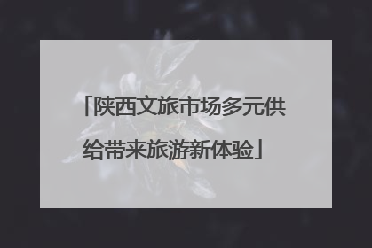 陕西文旅市场多元供给带来旅游新体验