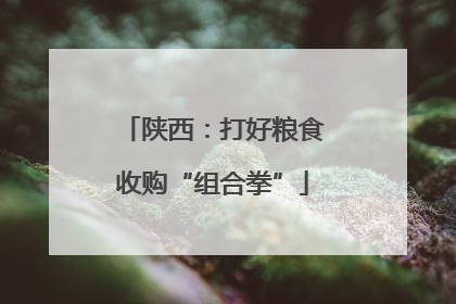 陕西：打好粮食收购“组合拳”