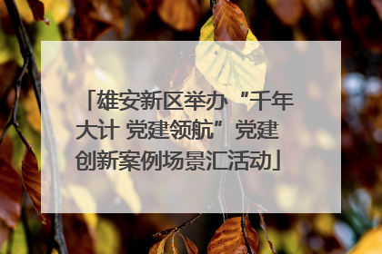 雄安新区举办“千年大计 党建领航”党建创新案例场景汇活动