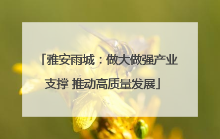 雅安雨城：做大做强产业支撑 推动高质量发展