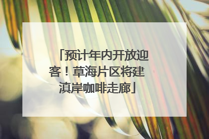 预计年内开放迎客！草海片区将建滇岸咖啡走廊