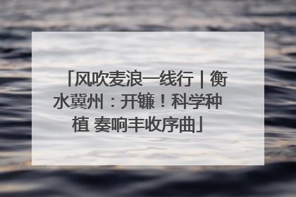 风吹麦浪一线行｜衡水冀州：开镰！科学种植 奏响丰收序曲