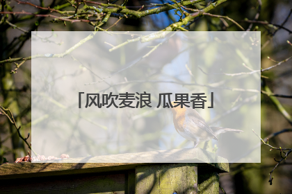 风吹麦浪 瓜果香