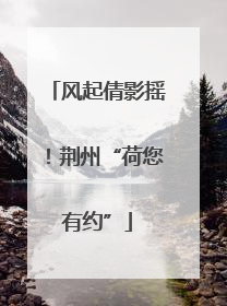 风起倩影摇！荆州“荷您有约”