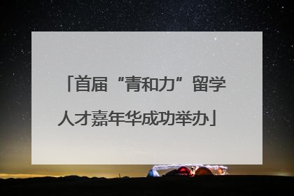 首届“青和力”留学人才嘉年华成功举办