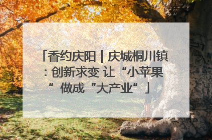 香约庆阳｜庆城桐川镇：创新求变 让“小苹果”做成“大产业”