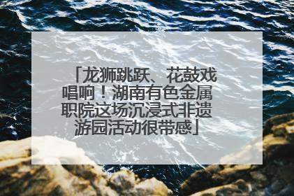龙狮跳跃、花鼓戏唱响！湖南有色金属职院这场沉浸式非遗游园活动很带感
