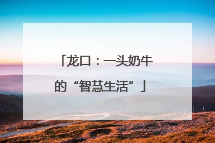 龙口：一头奶牛的“智慧生活”