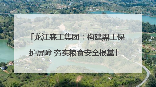 龙江森工集团：构建黑土保护屏障 夯实粮食安全根基