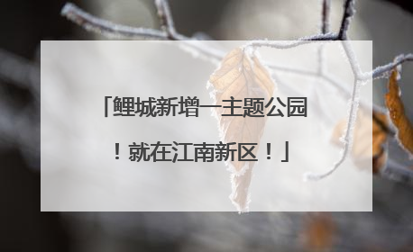 鲤城新增一主题公园！就在江南新区！